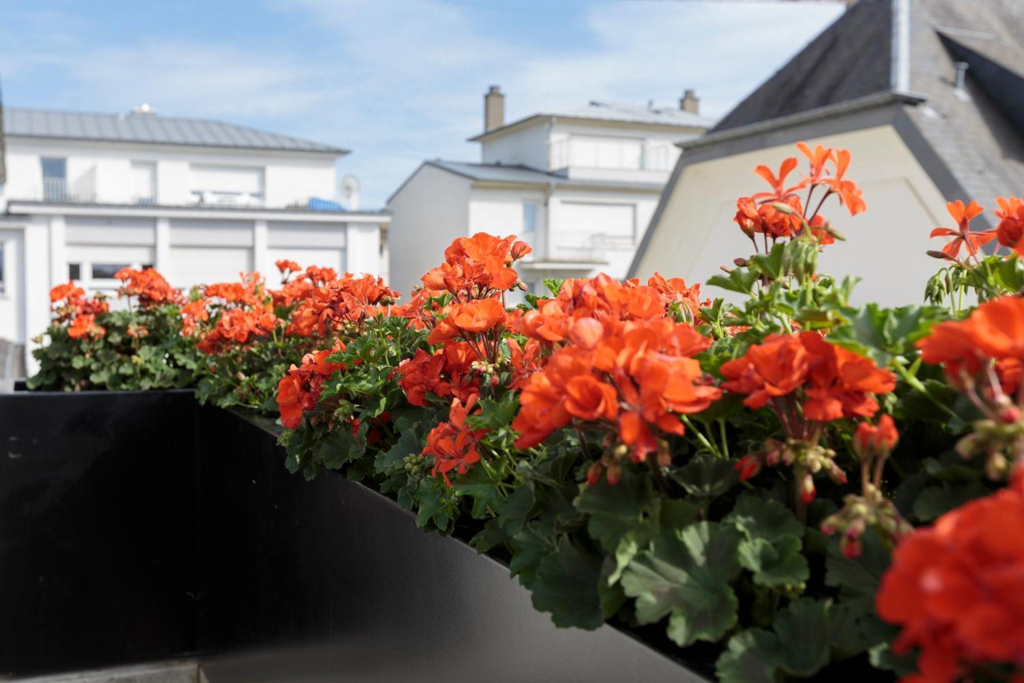 The Queen Luxury Apartments - Villa Vinicia Luxembourg Exterior photo